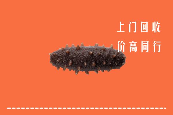 内江高价回收海参
