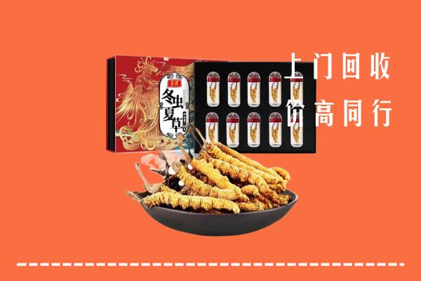 收购行情：内江回收虫草